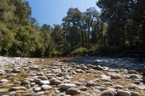 Oparara River