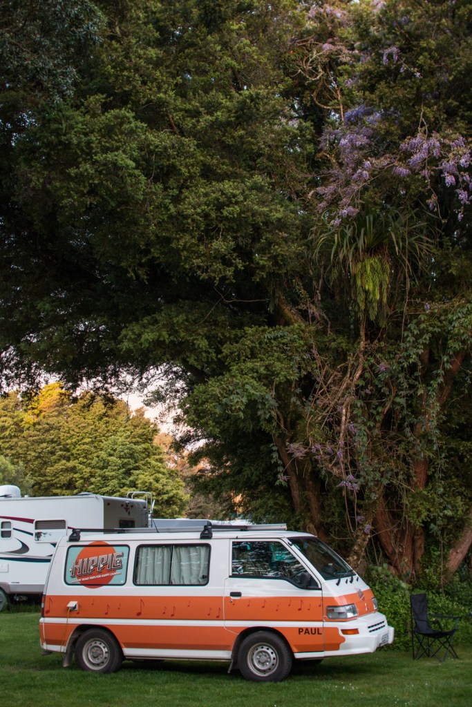 Sooo ein schöner Campingplatz, oder: wie soll man in diesem Baum das Nest sehen?