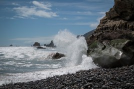IMG_2638